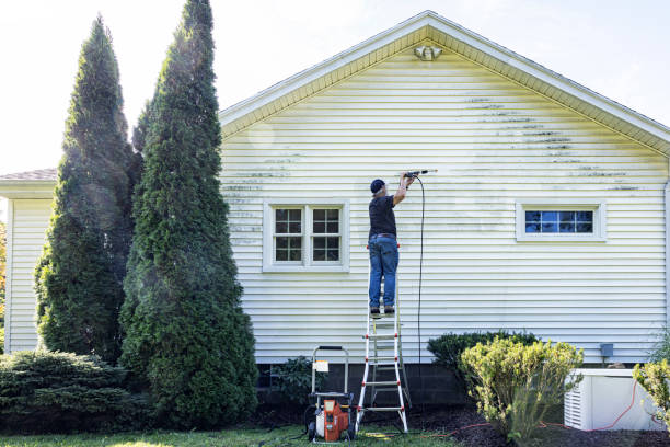 Best Gutter Cleaning and Brightening in Del Norte, CO